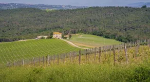 Villa Claro The window on the Chianti - Image 5