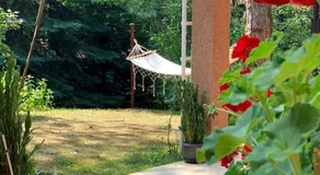 Apartments Micic - Image 5