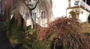 Die Maria - Image 2