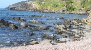Ashendens at Penneshaw - Image 5
