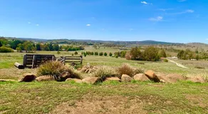 The Daydawn Dairy - Perched High Simple Living & What a View - Image 3