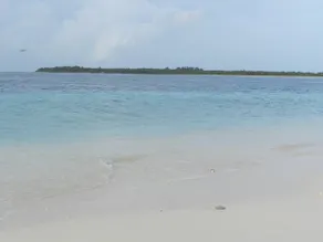 Mulah Surf Camp - Image 5
