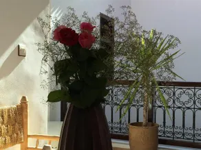 Dar Rosa - Image 4