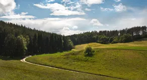 Folwark Dajak - Image 2