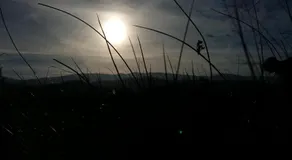 Domki Śnieżka - Image 4