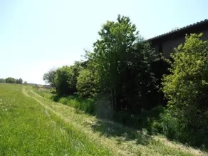 Gaisthaler-Hof - Image 4