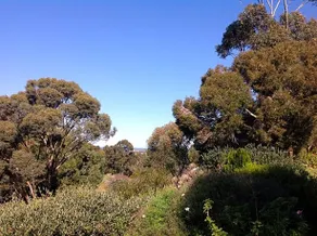 Port Elliot rural retreat - Image 5