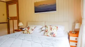 Y Llwyn Guest House Corwen - Image 2