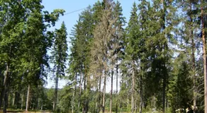 Kempings Ozolkalns - Image 5