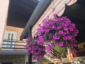 Guest House Enzo Icici - Image 2