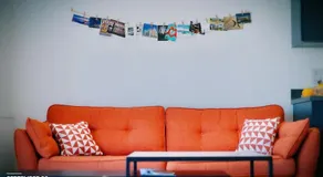 Vegetarian Cosy flat Greenhithe Bluewater - Image 2