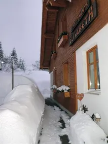 Alpenapartments Elisabeth - Image 3