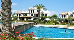 Bouganvilla - Image 3