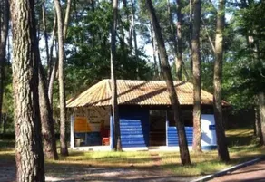 OCÉAN VACANCES - Le Domaine de la forêt de Suzac - Image 2