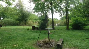 Club Haus am See - Image 4