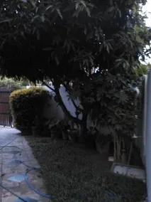 Kavindi Guest - Image 2