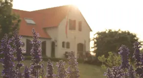 Villa Orangére - Image 3