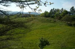 Fonte Dell' Aria - Image 1