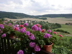 Guesthouse Prachovské skály - Image 5