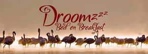 Droomzzz - Image 2