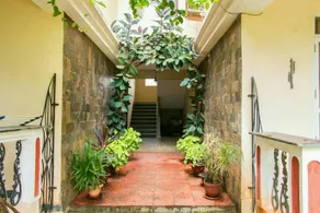 Asian Dona Rosa 1 - Image 2