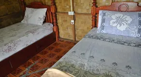 Banana Bungalow - Image 4