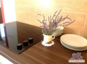 Apartments Madirazza - Image 3