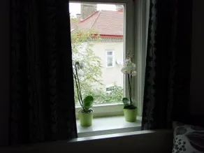 Augartenblick Top 8 - Blick zum Riesenrad - Image 3