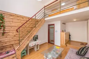 Cat's loft - Image 3