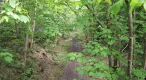 caravan nestled away amongst trees on edge of farm yard - Image 5