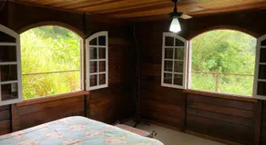 Floresta Tropical - Image 3