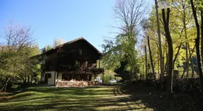 Le Grand Saule - Image 2
