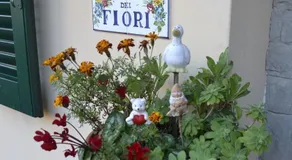 B&B Belvedere - Image 4