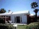 Los albaricoques - Image 1