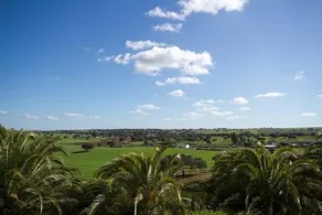 Monte do Gafanhoto - Image 3