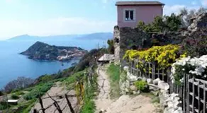 The sea from the hills - Image 4