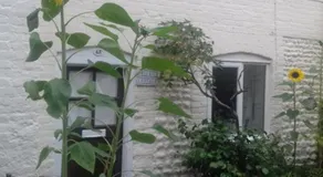 Mauds Cottage 1 - Image 2