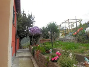 Marika's Home - Image 4