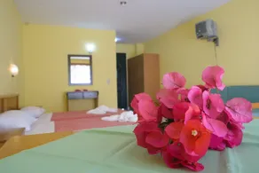 Polyxeni hotel Corfu Island - Image 2