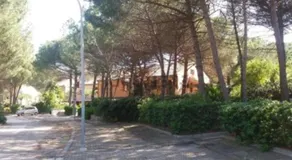 Wohnung in Arboriamar - Image 4