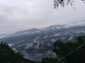 Yibin Shunan Bamboo Forest Sizhi Farm Stay - Image 5