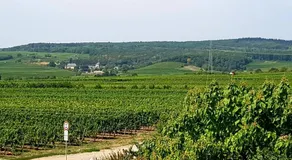 Ferienzimmer Weingut Mack - Image 4
