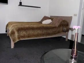 Bed and Breakfast Arendvlucht - Image 3