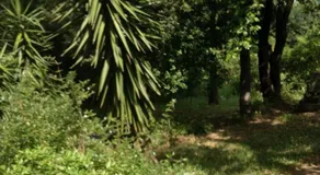 Villa Trou Aux Biches - Image 2