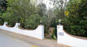 MAS TOMASI 525 A - Image 2