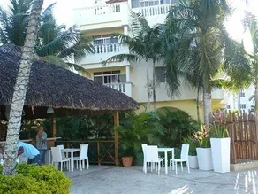 Las Palmeras / Las Estrellas - Image 5