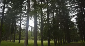 Hostel Botanical Garden - Image 3