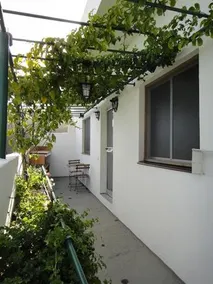 La Mejorana - Image 2