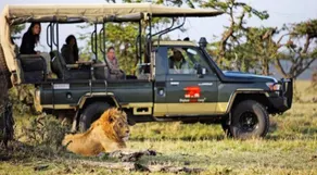 Elephant Pepper Camp - Image 3