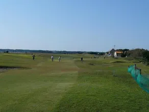 Satomura - Image 2